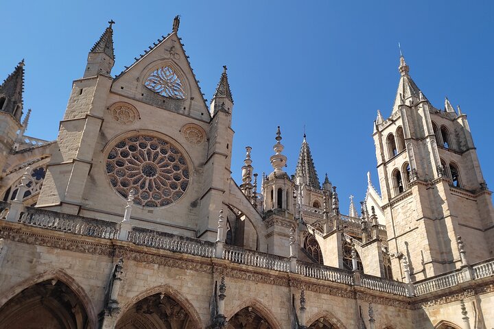 Cathedral of León: tour with a Lioness art historian