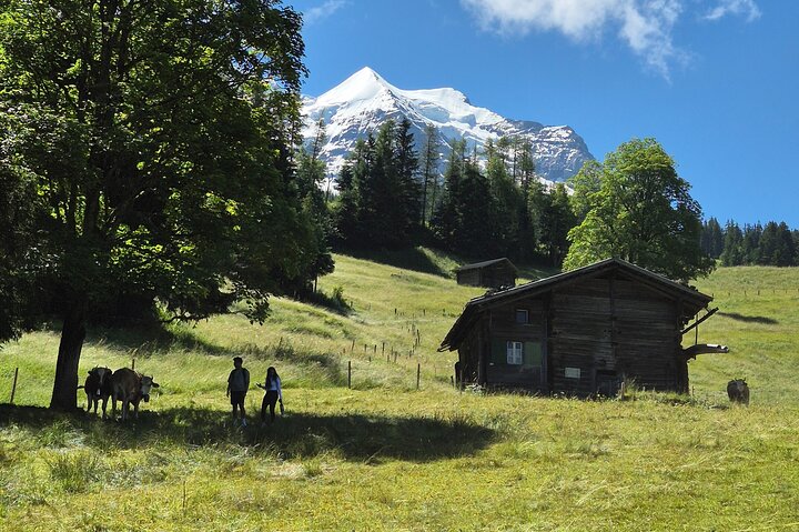 Easy countryside tour in Swiss Alps - kids friendly