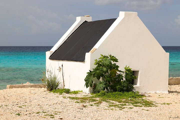 Private Bonaire North & South Tour