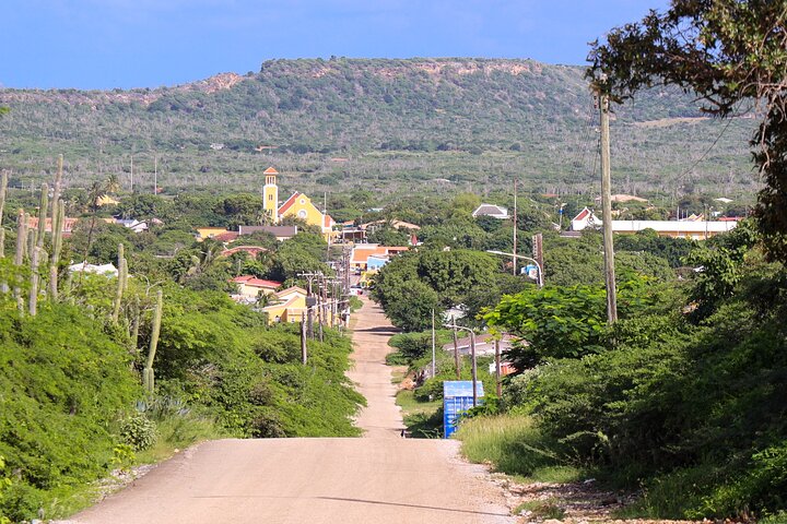 Private Bonaire North & South Tour