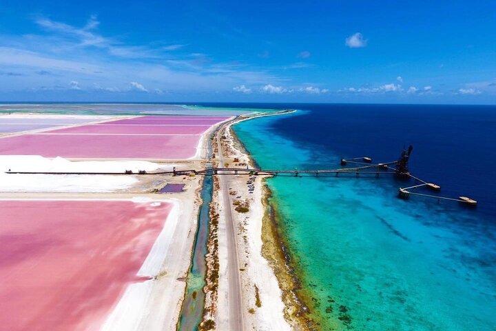 Private Bonaire North & South Tour