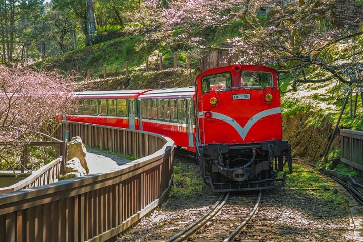 Alishan Join-in Day Tour from Taichung (Incl. Park Entrance)