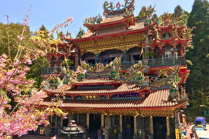 Alishan Join-in Day Tour from Taichung (Incl. Park Entrance)