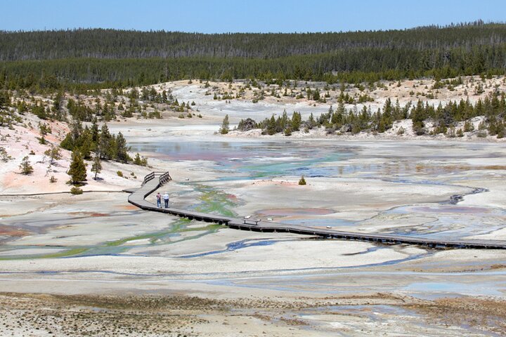 Self-Guided Audio Driving Tour in Yellowstone National Park