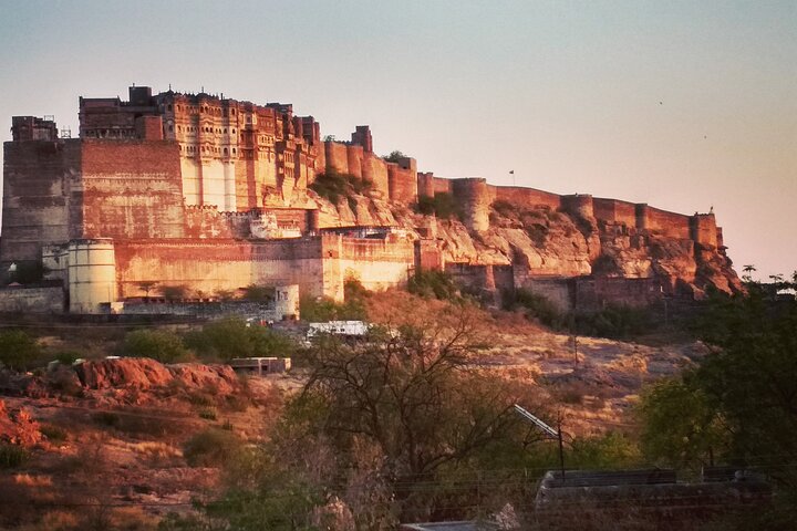 Jodhpur Walk With Kuku