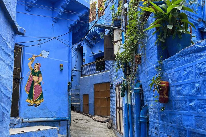 Jodhpur Walk With Kuku
