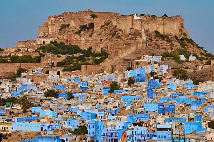 Jodhpur Walk With Kuku