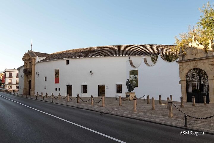 Discover Ronda and Setenil de las Bodegas in a Day from Málaga