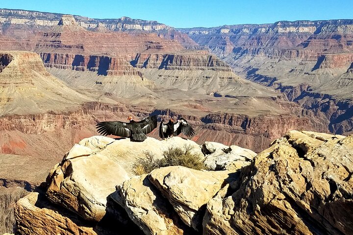 Grand Canyon South Rim Sunset Tour with Dinner included