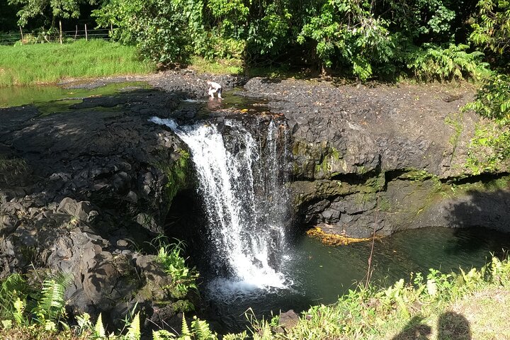 Full-Day Upolu Island Highlights Tour from Apia