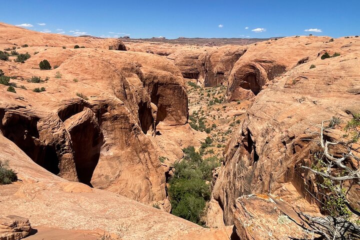 YOU-DRIVE UTV Hell's Revenge 4x4 Off Roading Tour from Moab