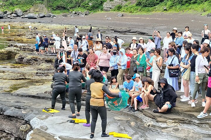 Half or Day Tour For Cruise customers arriving at Jeju City Port