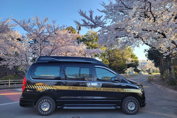 Private Half Day South and West Tour in Jeju Island