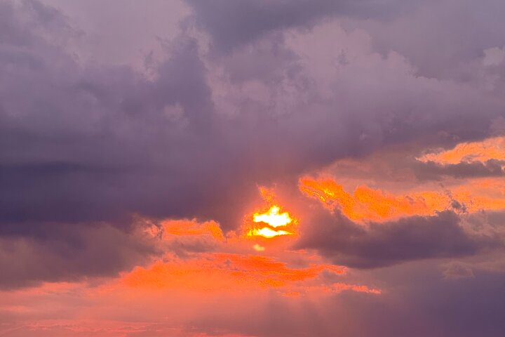 Private Charleston Sunset & Dolphin Cruise