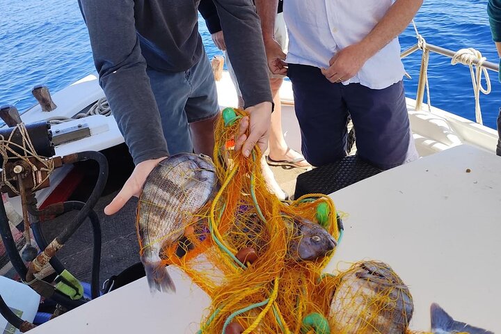 Half-Day Shared Fishing Experience in Hydra