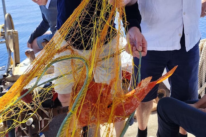 Half-Day Shared Fishing Experience in Hydra