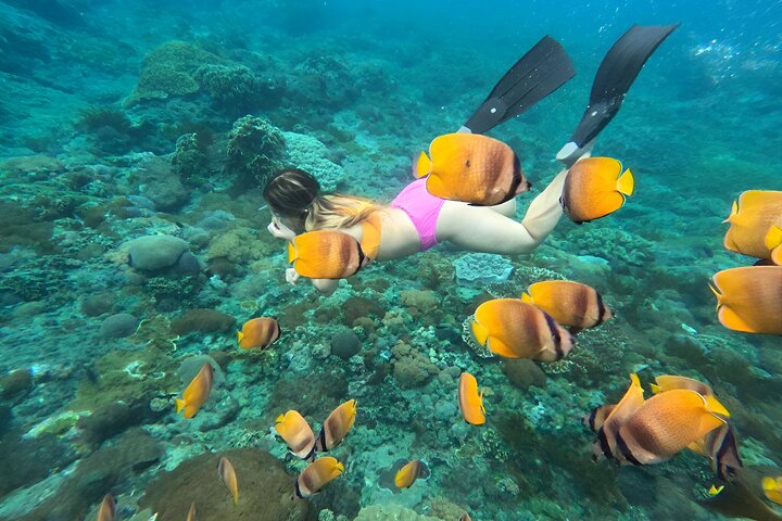 Snorkeling In Nusa Penida Island With Manta Ray From Bali