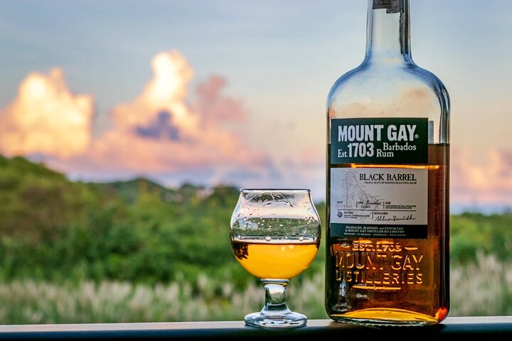 Barbados Highlights and Rum Tour