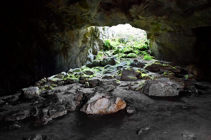 Hilo Shore Excursion: Volcano Safari Lava Caves & Black Sand