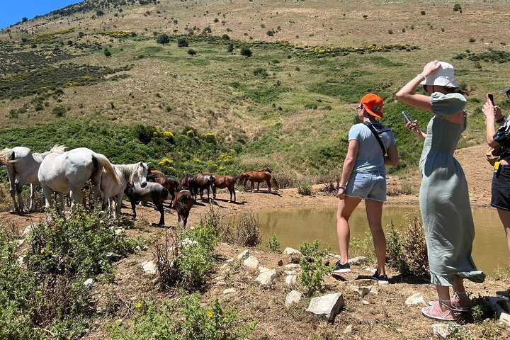 1-Day Tour in Blue Eye, Monastery, Gjirokaster and Lekursi Castle