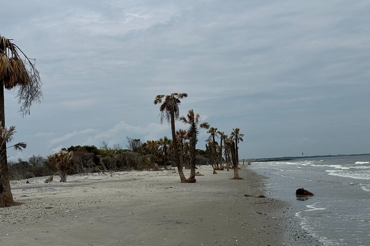 Morris Island Private Excursion