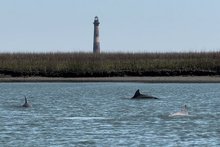 Morris Island Private Excursion