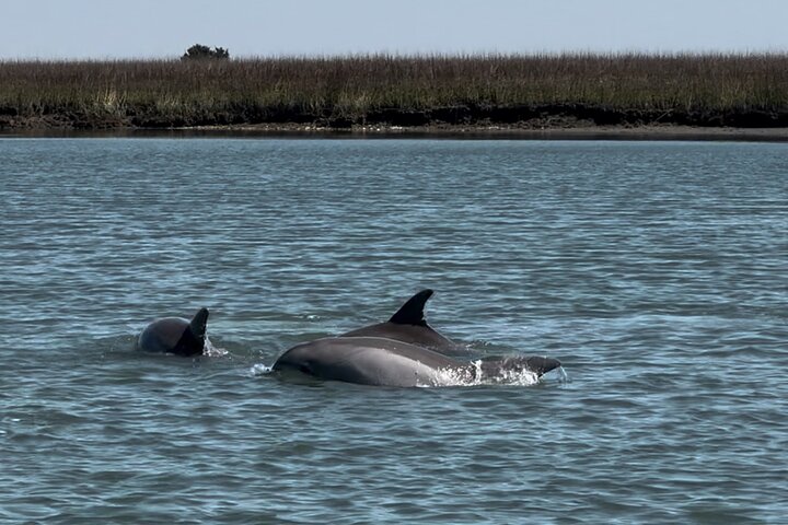 Morris Island Private Excursion