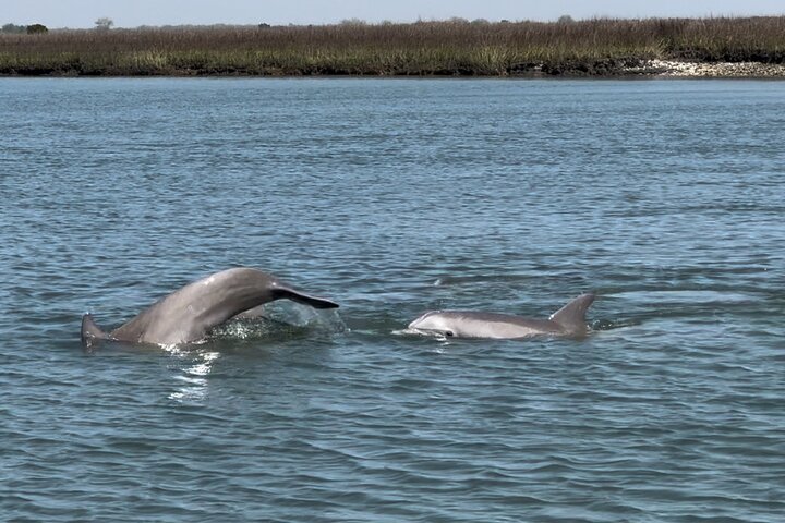 Morris Island Private Excursion