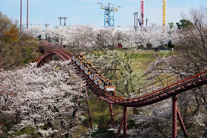 Yomiuriland Day ticket | Tokyo