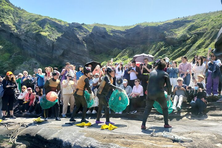 Half or Day Tour For Cruise customers arriving at Jeju City Port
