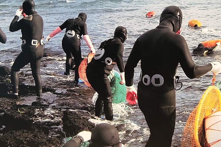 Half or Day Tour For Cruise customers arriving at Jeju City Port