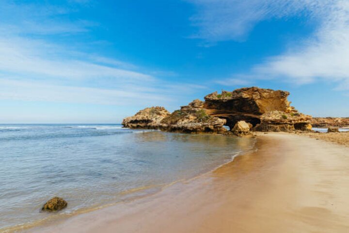 Mornington Peninsula Day Tour. Your Day Your Way. Your group only