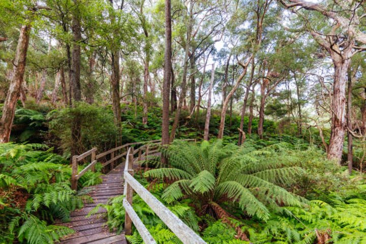 Mornington Peninsula Day Tour. Your Day Your Way. Your group only