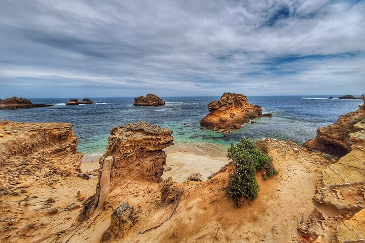 Mornington Peninsula Day Tour. Your Day Your Way. Your group only