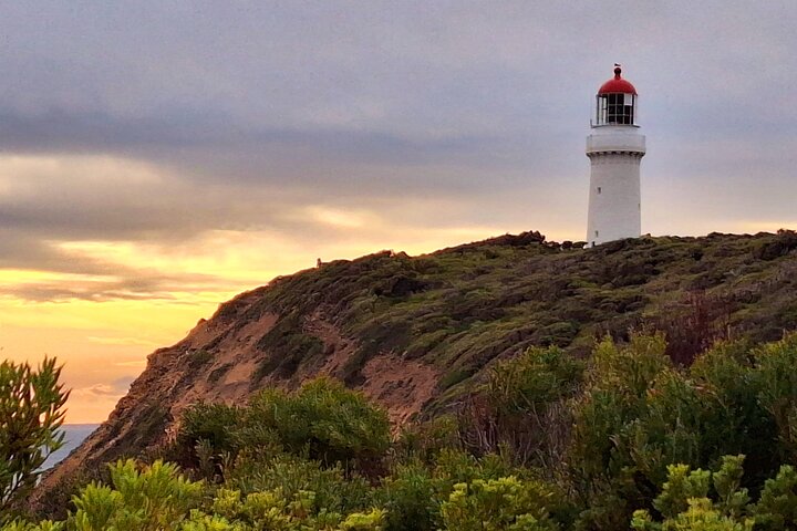 Mornington Peninsula Day Tour. Your Day Your Way. Your group only