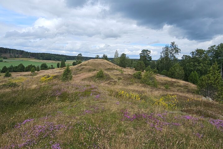 Viking History, Runes & Countryside 9h Tour to Sigtuna & Uppsala