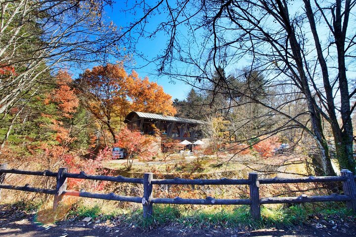 Karuizawa Private Customizable Full Day Tour