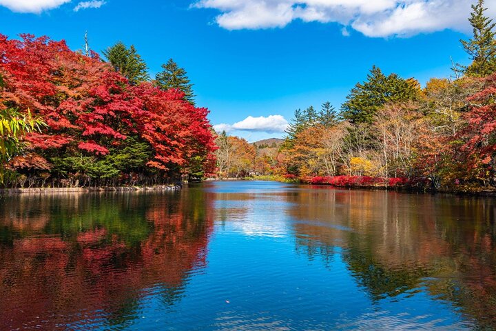 Karuizawa Private Customizable Full Day Tour