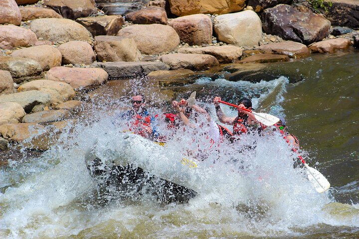 Durango Half Day Rafting Trip - Lower Animas River