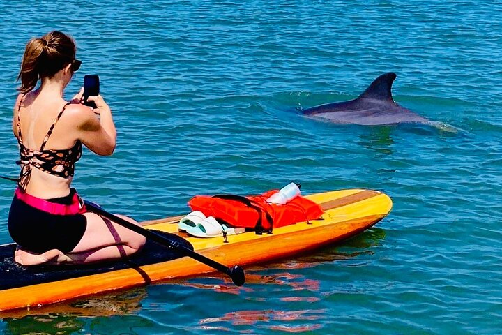 Dolphin, Manatee and Sea Turtle Kayak Adventure in St. Augustine