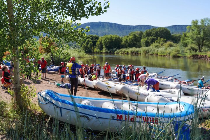 Durango Half Day Rafting Trip - Lower Animas River