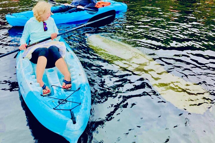 Dolphin, Manatee and Sea Turtle Kayak Adventure in St. Augustine