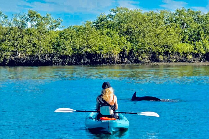 Dolphin, Manatee and Sea Turtle Kayak Adventure in St. Augustine
