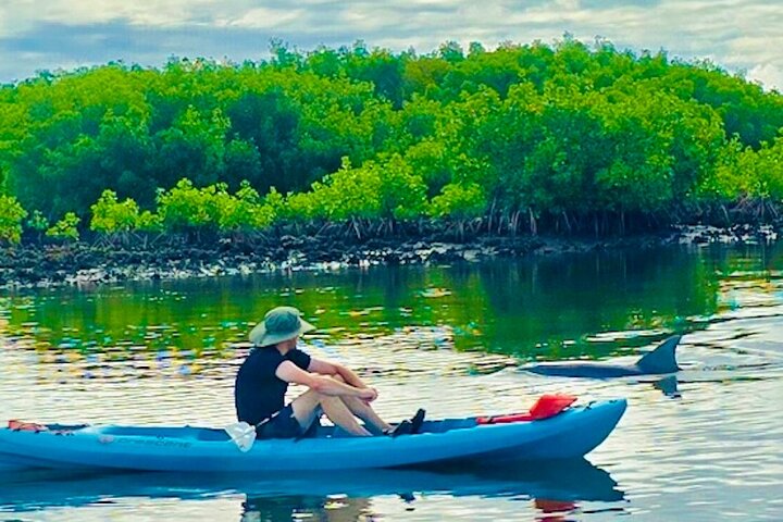 Dolphin, Manatee and Sea Turtle Kayak Adventure in St. Augustine