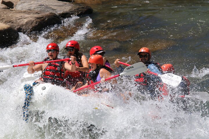 Durango Half Day Rafting Trip - Lower Animas River