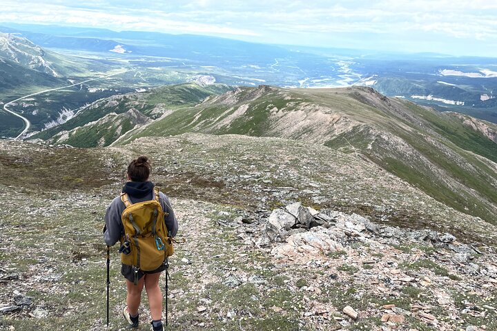 Denali Alaska Range 5hr Mountain Hike w/Views & Naturalist Guide