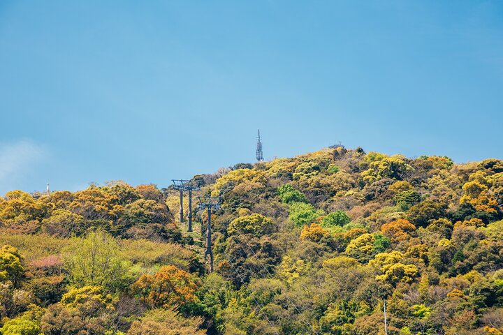 Tokushima Private Customizable Full Day Tour