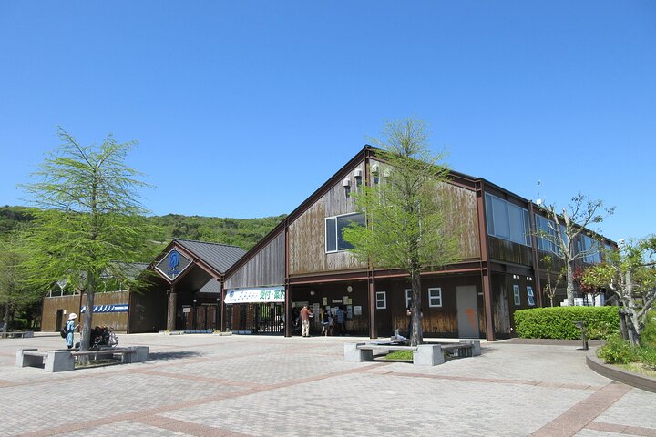 Tokushima Private Customizable Full Day Tour