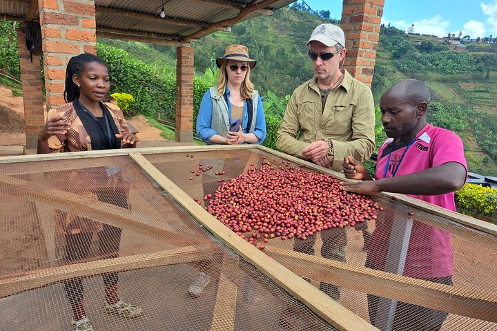 Tea and coffee tours