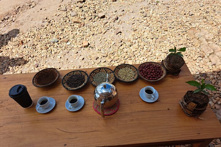 Tea and coffee tours